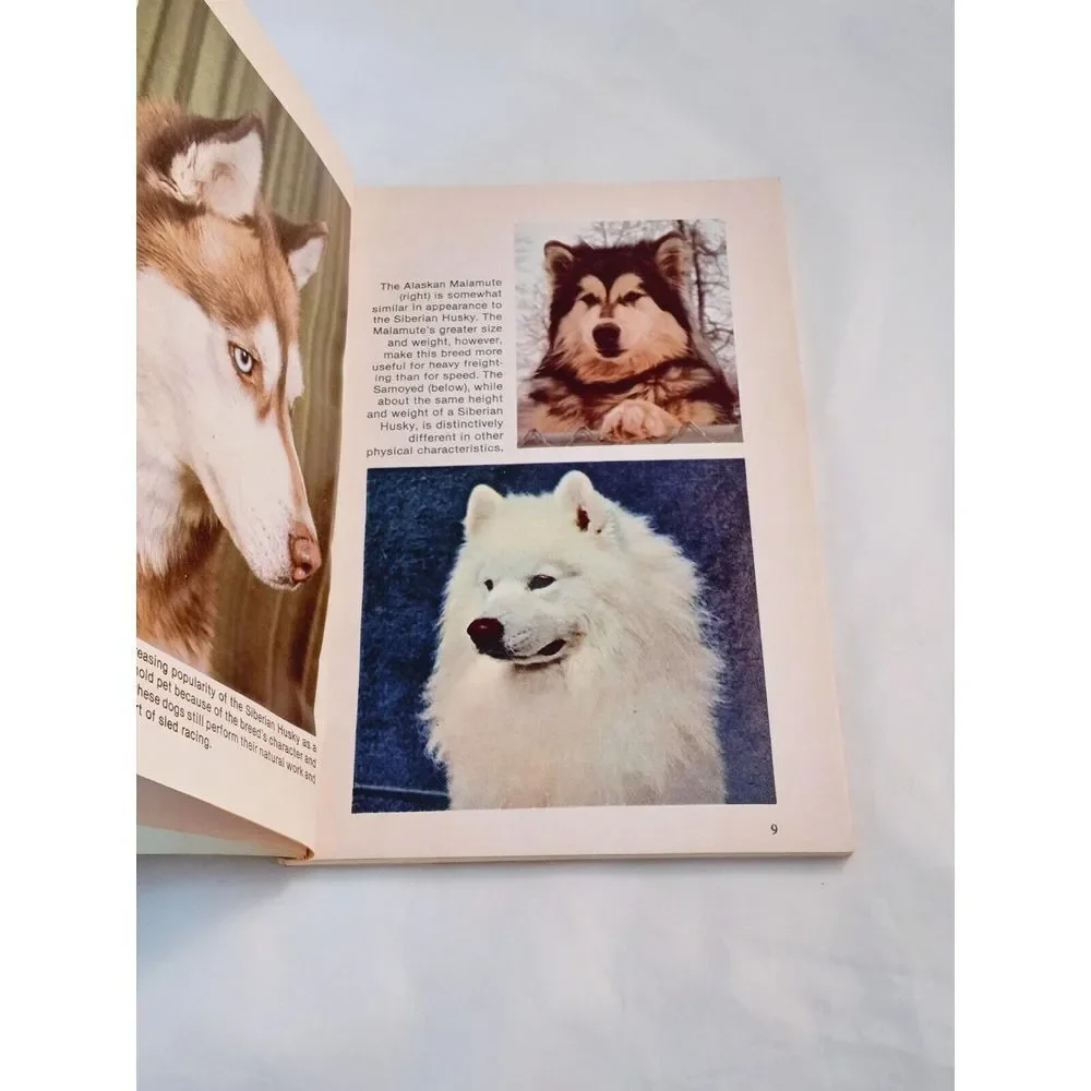 How to Raise and Train‎ a Siberian Husky Paperback Lorna B. Demido 1983